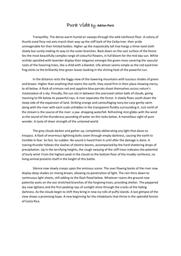 essay about the jungle