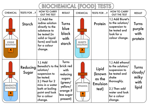 GCSE Biology Biochemical (Food 91����ts) Summary