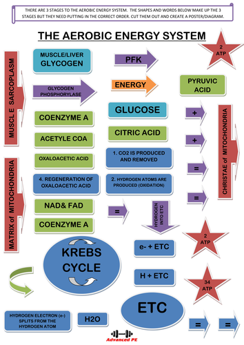 docx, 36.25 KB