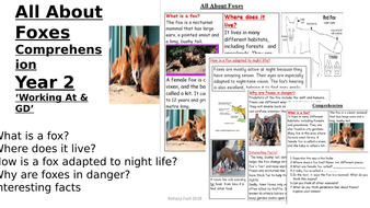 Guided Reading All About Foxes Year 2 | Teaching Resources