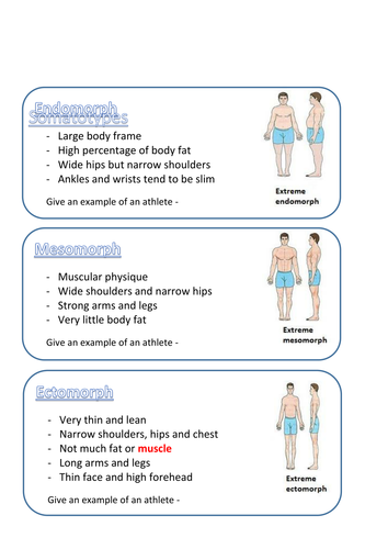 how to figure out your somatotype