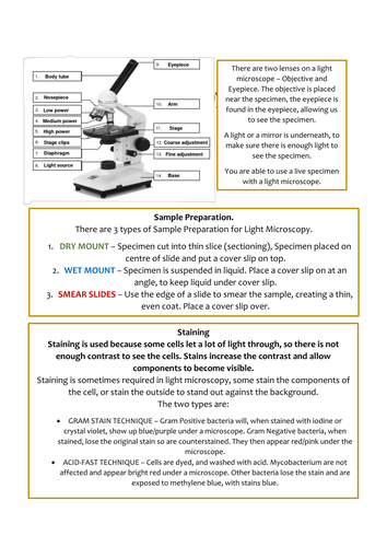 Biology AS Level OCR Revision Notes - Basic Components of Living Systems