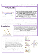 Biology AS Level OCR Revision Notes - Biological Molecules | Teaching ...