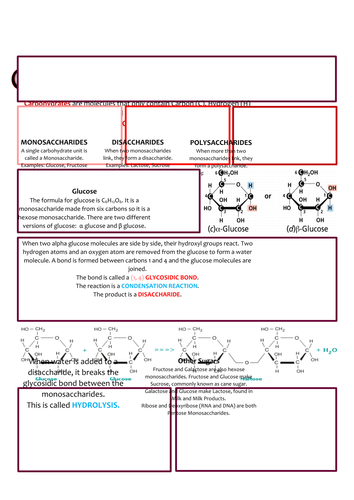 docx, 48.55 KB