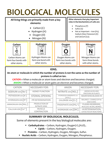 Biology AS Level OCR Revision Notes - Biological Molecules