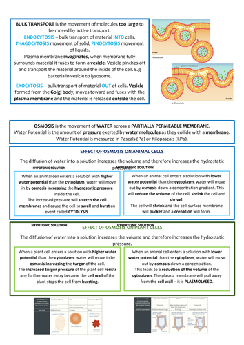 Biology AS Level Revision Notes - Enzymes and Plasma Membranes ...