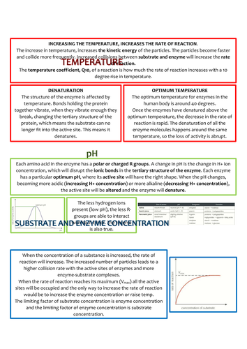 Biology AS Level Revision Notes - Enzymes and Plasma Membranes ...