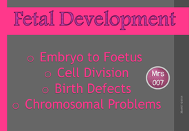 Fetal Development - Embryo to Foetus by Mrs_007 - Teaching Resources - Tes
