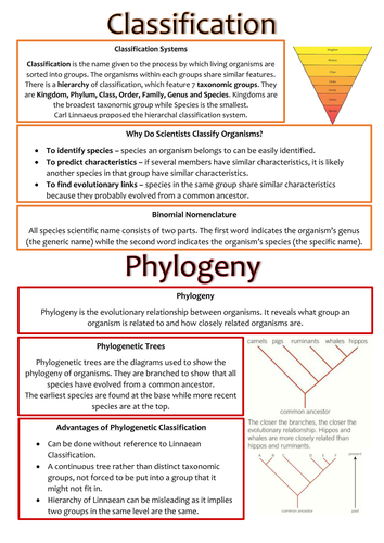 Biology AS Level OCR Revision Notes - Classification