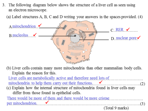 Exam Technique Presentations – Set 2 | Teaching Resources