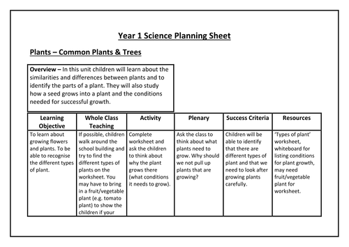 Year 1 Plant - 6 Lesson Plans by - UK Teaching Resources - TES