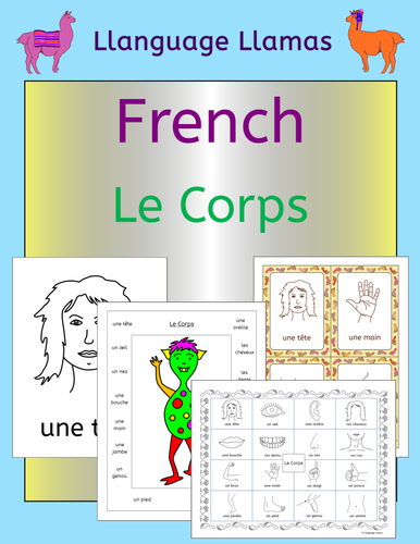 French Parts of the Body - Le Corps