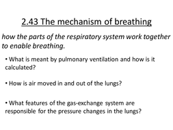 Mechanism of breathing | Teaching Resources