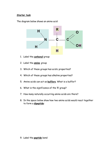 Amino acids