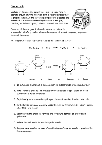 Lactose intolerance worksheet