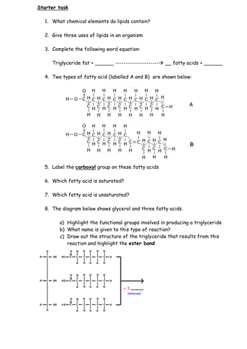 Lipids and triglyceride fats