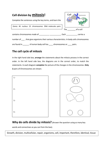 docx, 195.67 KB
