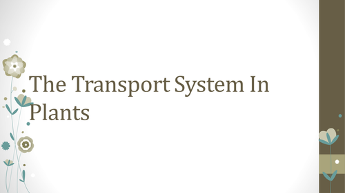The Transport System In Plants | Teaching Resources
