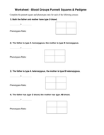 Abo Blood Type Worksheet - Worksheet List