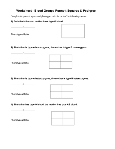 Abo Blood Typing With Punnett Squares Worksheet