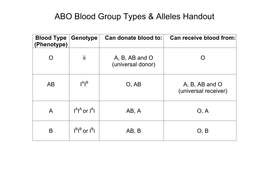 27 Abo Blood Type Worksheet - Worksheet Resource Plans