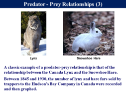 Prey And Predator Examples | Teach Besides Me