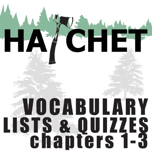 HATCHET Vocabulary List and Quiz (30 words, chs 13) Teaching Resources