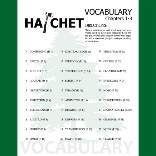 HATCHET Vocabulary List and Quiz (30 words, chs 13) Teaching Resources