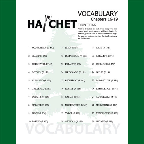 HATCHET Vocabulary List and Quiz (30 words, chs 1619) Teaching Resources