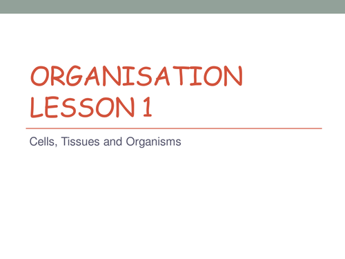 AQA GCSE Biology (New for 2016) - Organisation | Teaching Resources