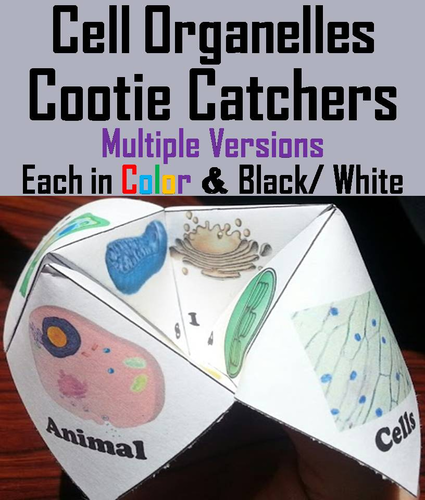 Cell Organelles Cootie Catchers