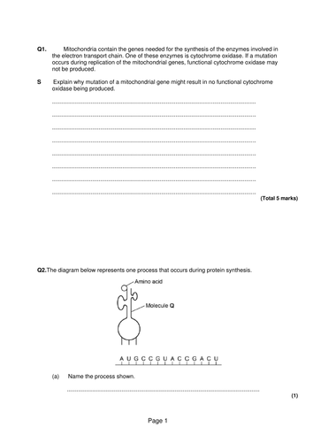 DNA and Genetics Megatron