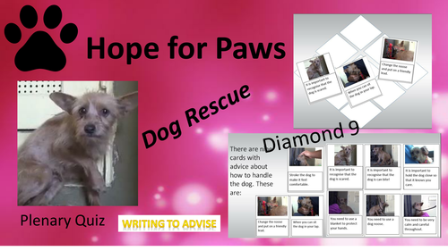 Hope for Paws - Dog Rescue