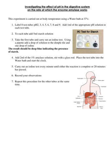 AQA Biology New Specification Required Practical Enzymes