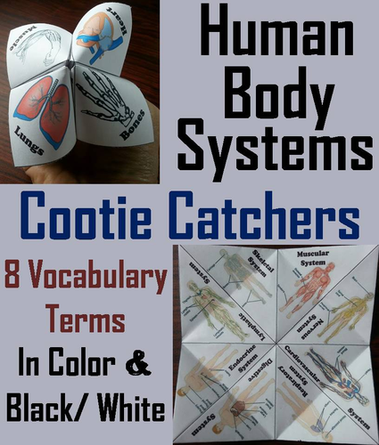 Human Body Systems Cootie Catchers