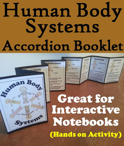Human Body Systems Accordion Booklet