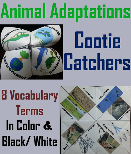 Animal Adaptations Cootie Catchers
