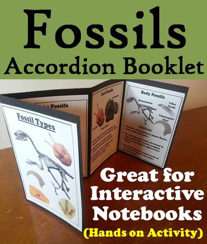 Fossils Accordion Booklet