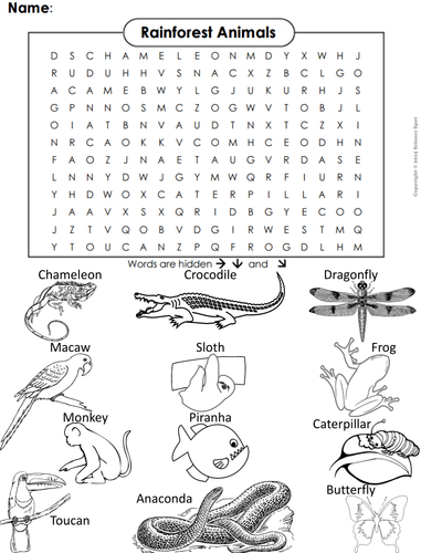 rainforest word search coloring book teaching resources