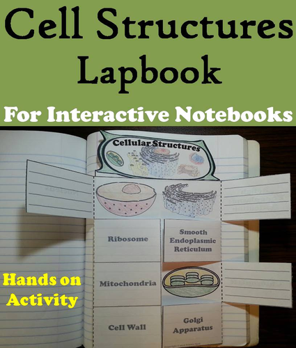 Cell Structures Lapbook