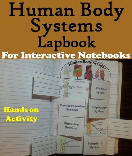 Human Body Systems Lapbook