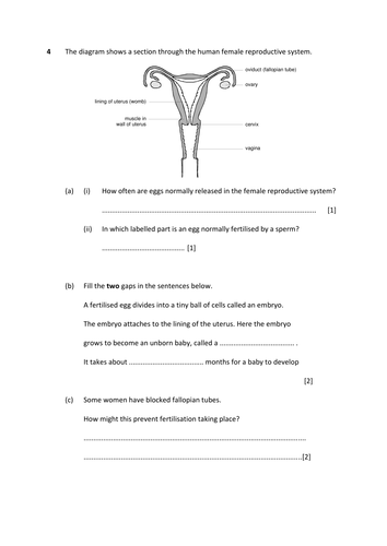 year 7 ks3 menstrual cycle by shannonle123 teaching resources tes