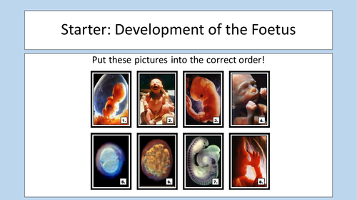 year 7 ks3 menstrual cycle teaching resources