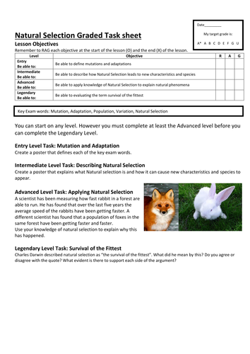 Natural Selection Graded Task sheet by kanzi1979 ...