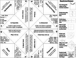 Analogies: 5th Grade Cootie Catchers | Teaching Resources