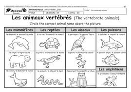 french unit 6 friends activities year 56 the vertebrate and