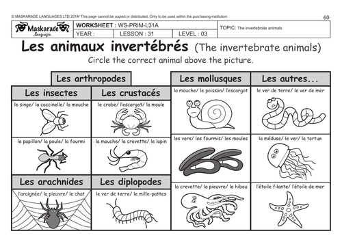 FRENCH (UNIT 6: FRIENDS & ACTIVITIES): Year 5/6: The vertebrate and invertebrate animals by ...