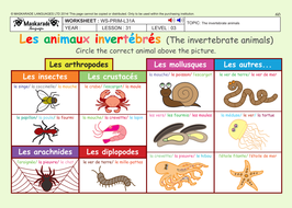 FRENCH (UNIT 6: FRIENDS & ACTIVITIES): Year 5/6: The vertebrate and