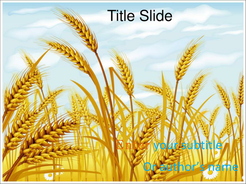 Wheat PowerPoint Template 