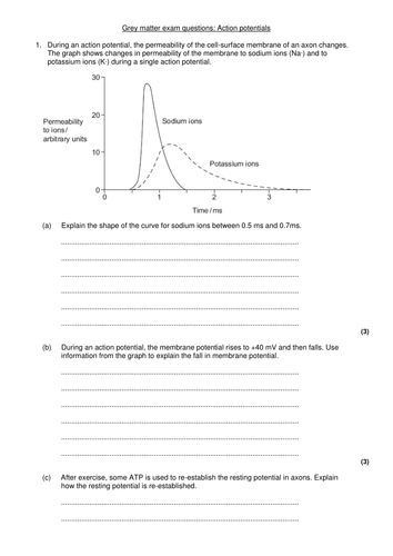 Revision bundle A level Biology